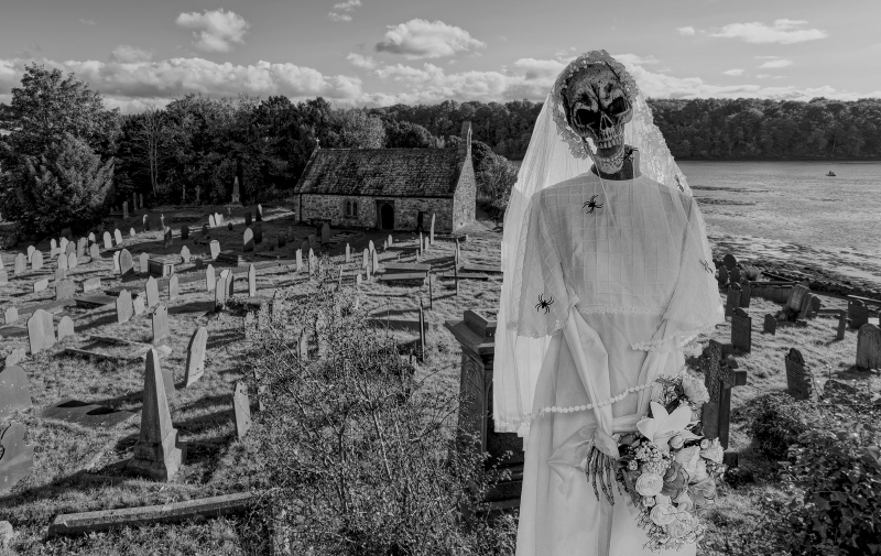 A Bride Not to be